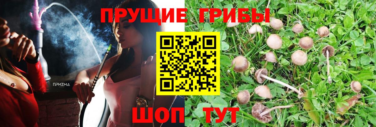Галлюциногенные грибы прущие грибы Азов