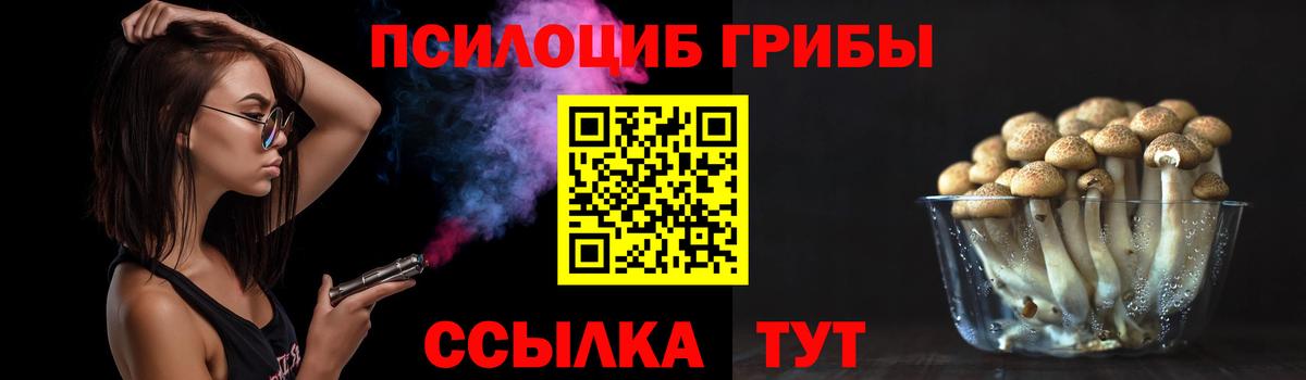 Псилоцибиновые грибы ЛСД  Псилоцибиновые грибы ЛСД  Азов  Вход с VPN 